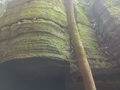 -梭布垭石林景区