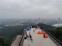 -紫金山山顶公园