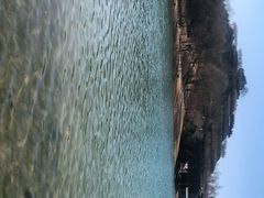 -河北省园博园