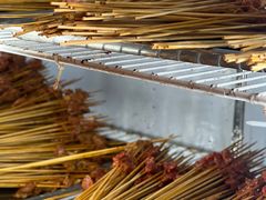 -钢五区节子串串香(环球汇·天誉店)