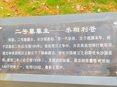 -马王堆汉墓遗址