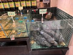 -黄山老妈·土菜(碧桂园店)