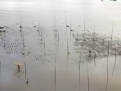 -北岐滩涂
