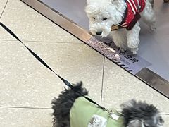 -仲盛世界商城