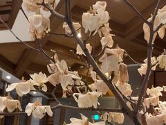 -浅深Cheersum(曹杨店)