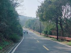 -宝界山林公园