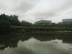 -嘉定紫藤园