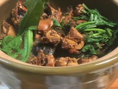 招牌必点-田螺鸡煲-食爺炭炉鸡煲·烧烤