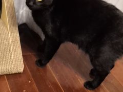 -将军关探险漂流