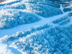 -中旅松花湖滑雪场