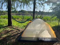 -上海海湾国家森林公园