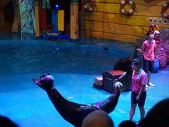 -烟台海昌鲸鲨海洋公园