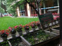 -天怡·鱼工厂(梅溪湖店)