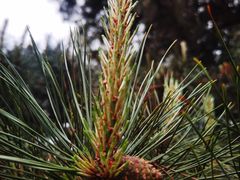 -汉景帝阳陵博物院