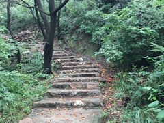 -蟠龙山长城景区