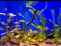 -上海海洋水族馆