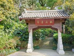 -杭州半山国家森林公园