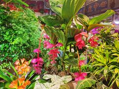 -朝来春花卉市场