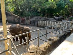 -深圳野生动物园
