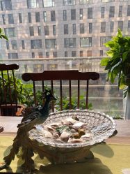 -青青一生美皮肤管理