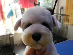 -转角宠物(转塘方家苑店)