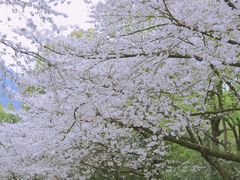 -杭州少年儿童公园