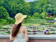 -云溪植物园