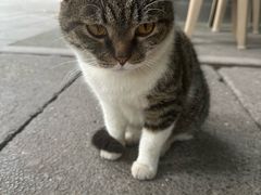 -铜元老码头鳝鱼火锅