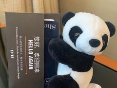 -成都天府丽都喜来登饭店