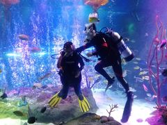 -沈阳海洋探索中心