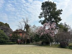 -浙江大学(之江校区)