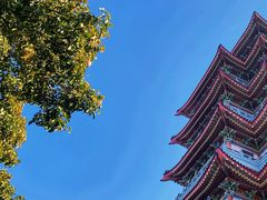 -合江楼