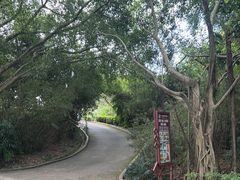 -大屏嶂森林公园