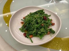 -金三杯酒家(泉城路店)