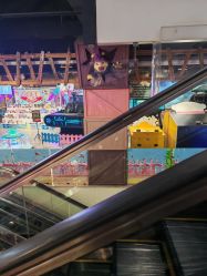 -卡通尼·Safari非洲探索乐园·生日会(金桥国际商业广场店)