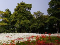 -白塘生态植物园