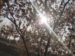 -汉长安城未央宫国家考古遗址公园