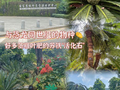 -深圳市中科院仙湖植物园