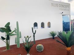 -Blue Concept Cafe&Farm·關於藍