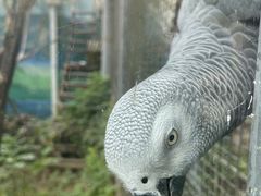 -济南野生动物世界