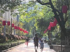 -云碧峰国家森林公园