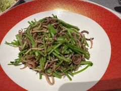 香菜肚丝-柿合缘新京菜(国金中心商场店)