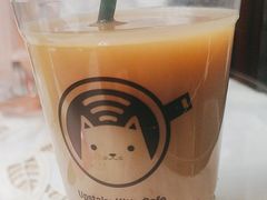 -楼上猫咖(罗湖店)