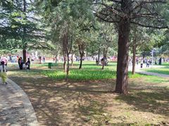 -洛阳郁金香牡丹园