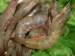 -草原塞蛮羊火锅城(港湾店)