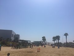 -碧海金沙