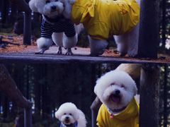 -硗碛藏寨·神木垒景区