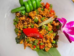 -太食獸泰式茶餐厅(北美新天地店)