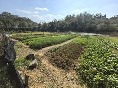 -翠茗农庄土菜馆(天目湖店)