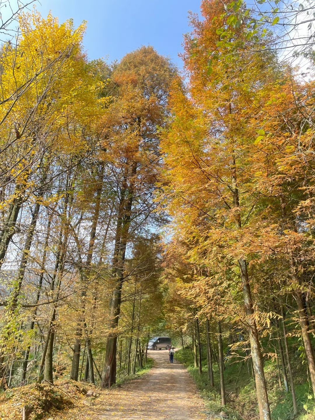 崇州金凤山徒步记